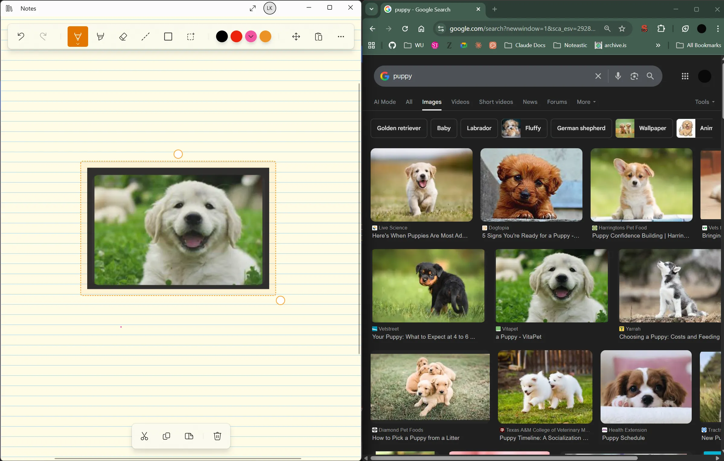 Pasting a screenshot into a Noteastic notebook